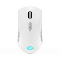 Lenovo Legion M600 Wireless Gaming Mouse