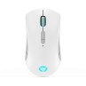 Lenovo Legion M600 Wireless Gaming Mouse